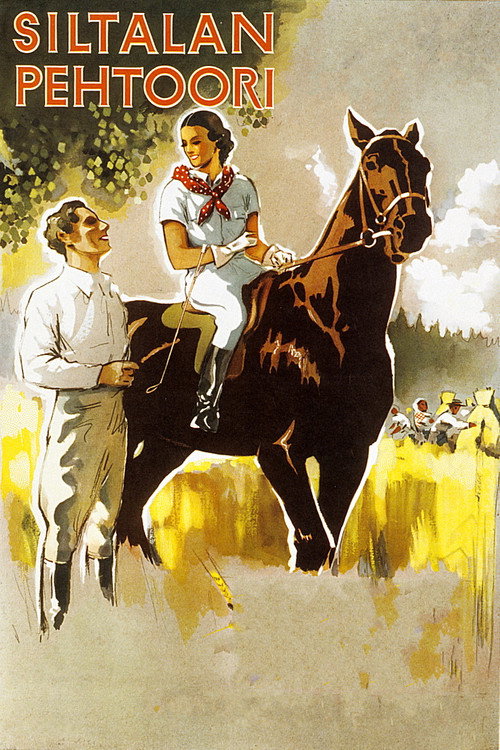 Siltalan pehtoori poster