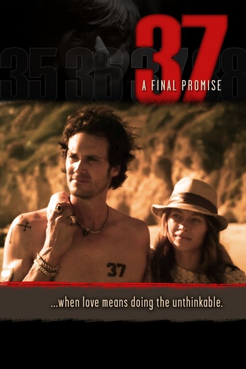 37: A Final Promise poster