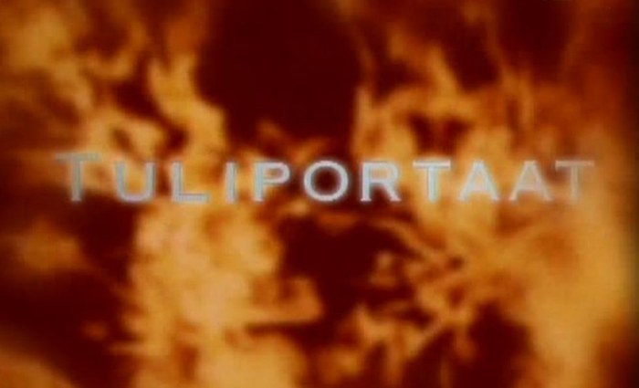 Tuliportaat poster
