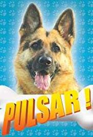 Pulsar poster
