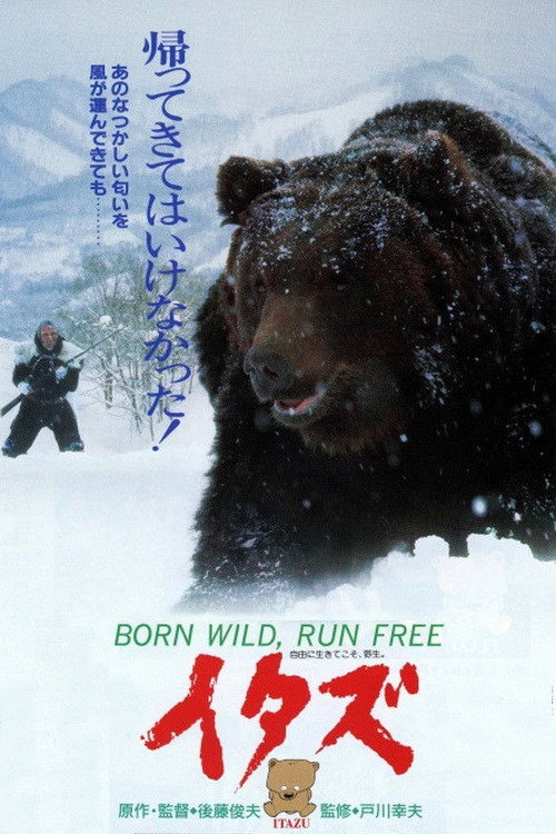 Itazu poster