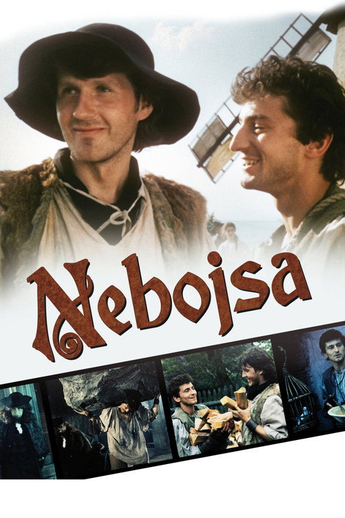 Nebojsa poster
