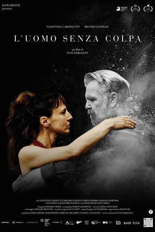 The Man Without Guilt poster