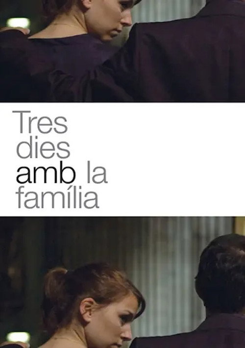 Three Days with the Family poster