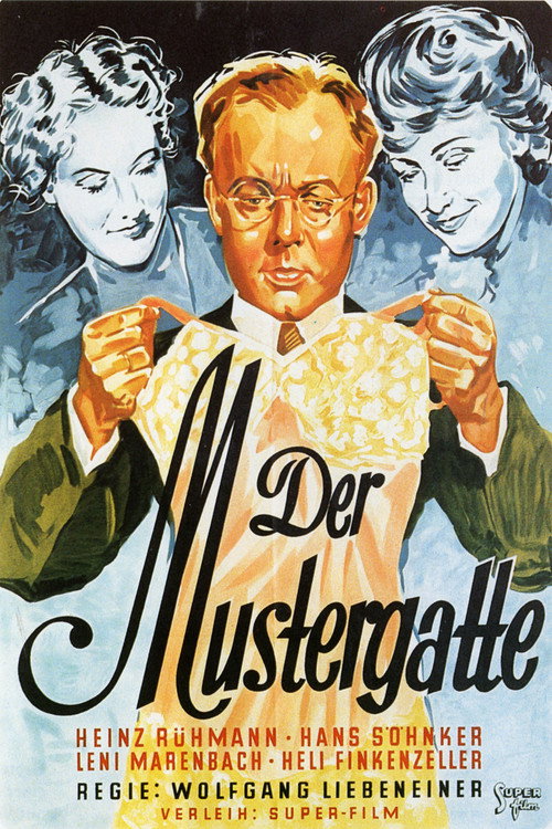 The Model Husband poster