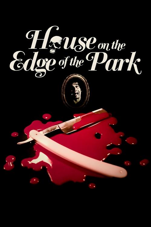 The House on the Edge of the Park poster