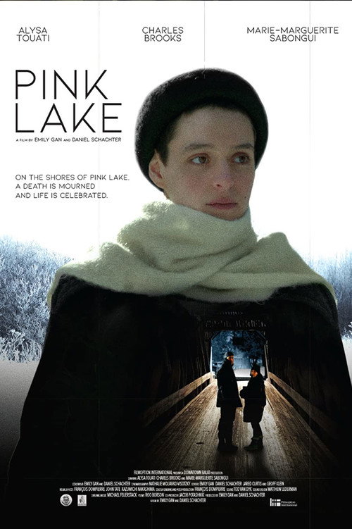 Pink Lake poster