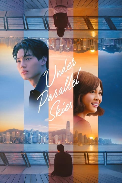 Parallel Skies poster