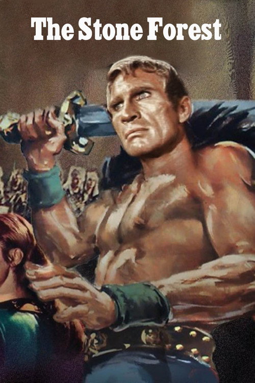 Treasure of the Petrified Forest poster