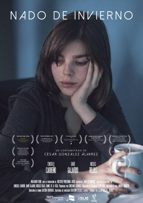 Nado de Invierno poster