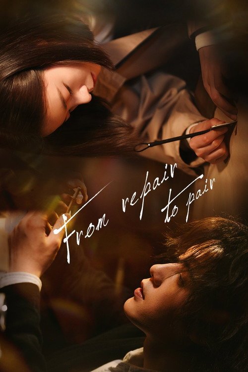 From Repair to Pair poster
