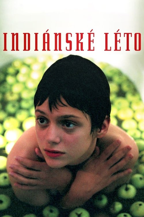 Indiánské léto poster