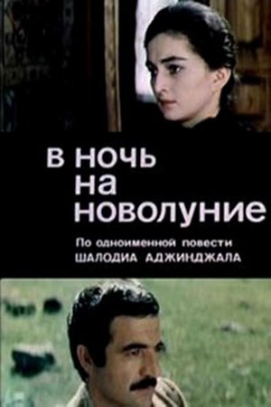 В ночь на новолуние poster