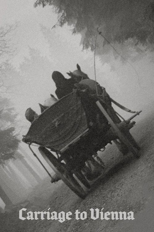 Coach to Vienna poster