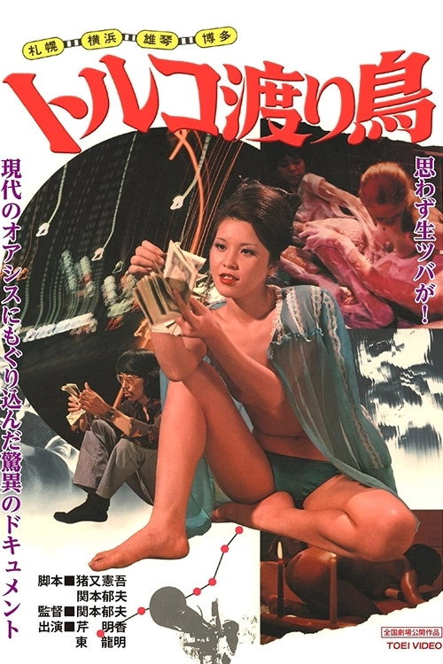 Hakata: Toruko wataridori poster