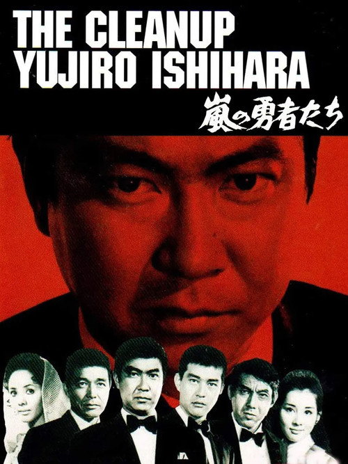 The Cleanup poster