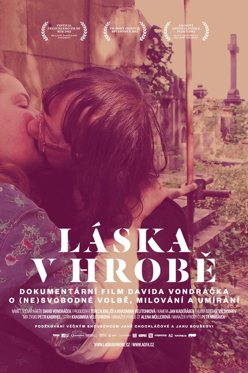 Love in the Grave poster