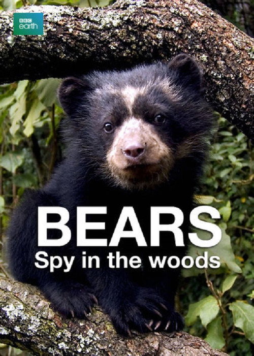 Bears – Spy in the Woods poster