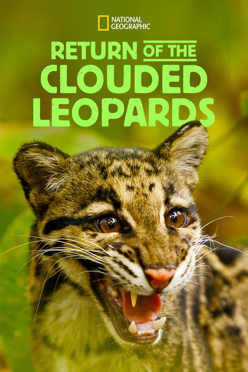 Clouded Leopard Rescue poster