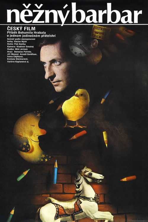 Nezný barbar poster