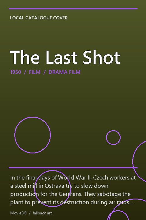 The Last Shot poster