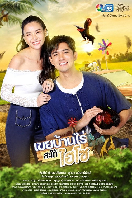 The In-laws poster