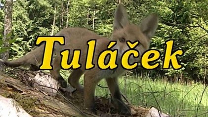 Tuláček poster