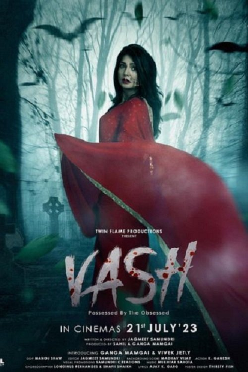 Vash: Possessed by the Obsessed poster