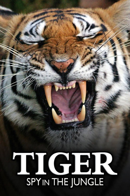 Tiger: Spy in the Jungle poster