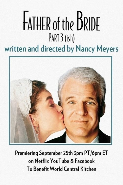 Father of the Bride Part 3 poster