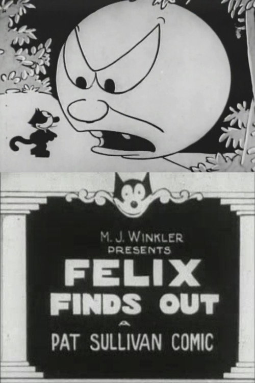 Felix Finds Out poster
