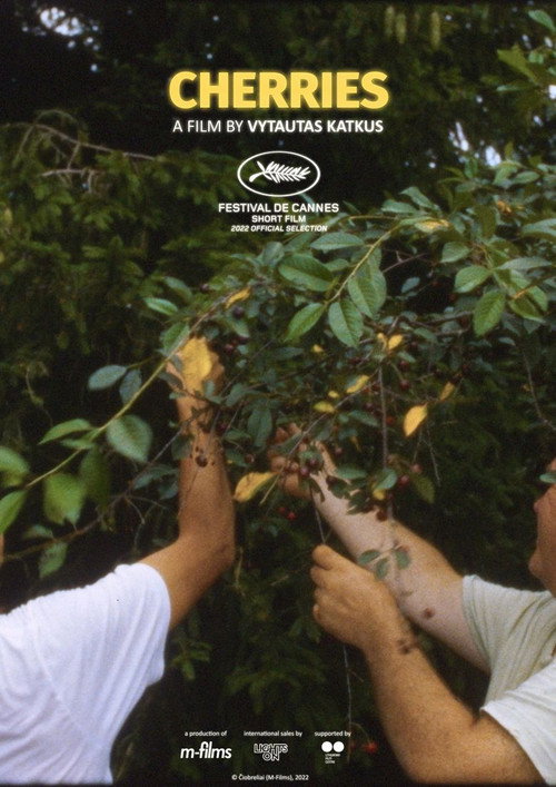 Cherries (2022 short) poster