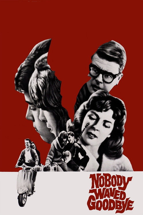 Nobody Waved Good-bye poster