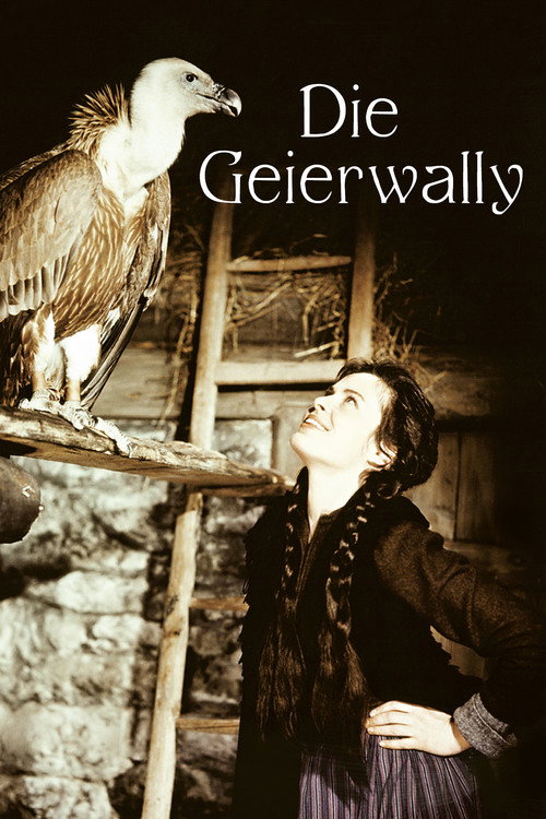 The Vulture Wally poster