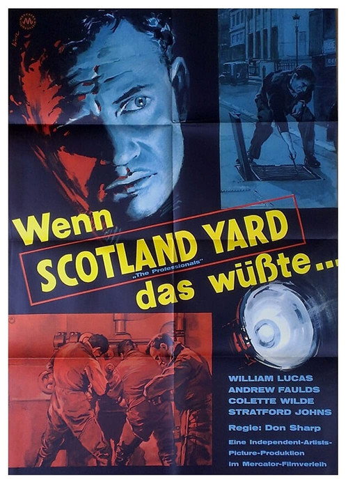 The Professionals poster