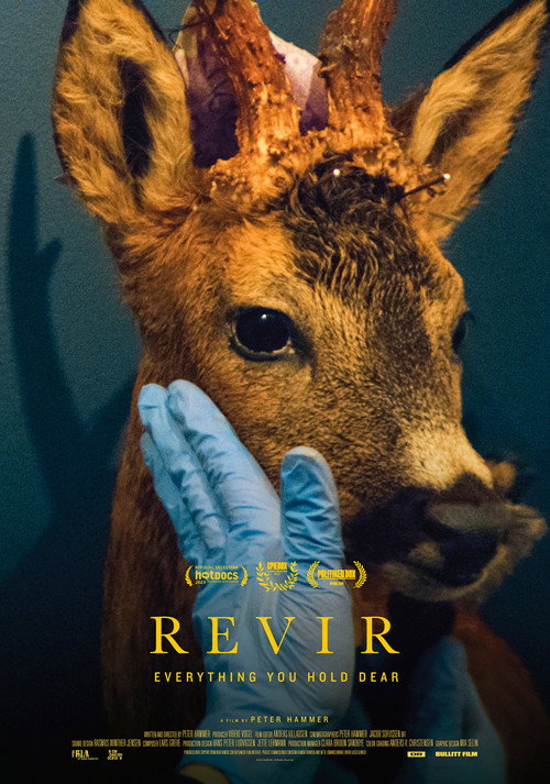 Revir -  Everything you hold dear poster