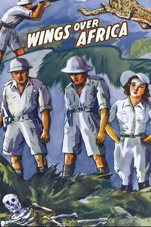 Wings Over Africa poster
