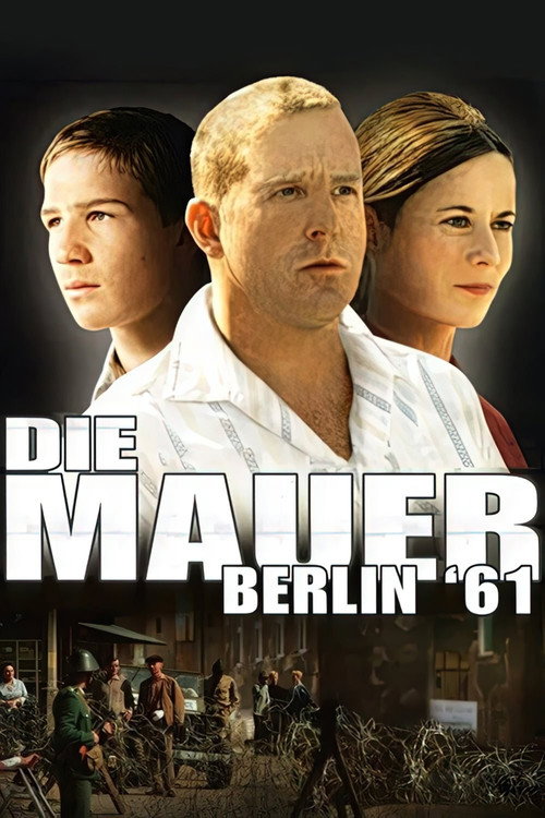Cold Summer poster