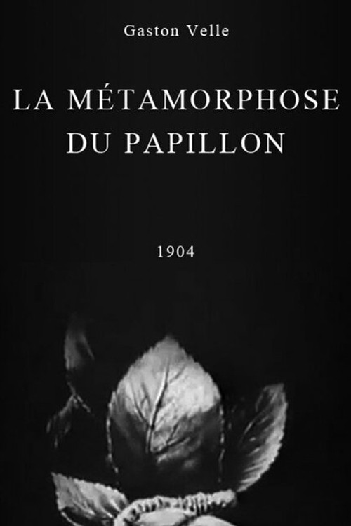 A Butterfly's Metamorphosis poster