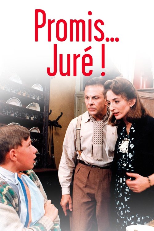 Promis... juré! poster