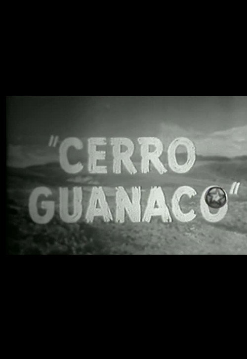 Cerro Guanaco poster