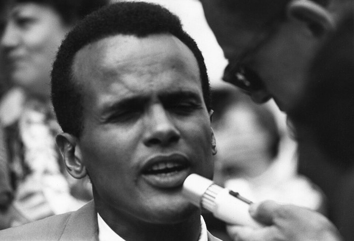 A veces miro mi vida poster