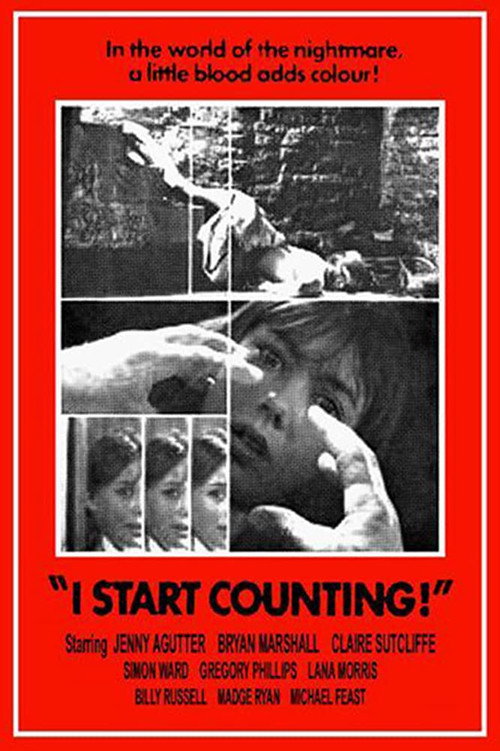 I Start Counting poster