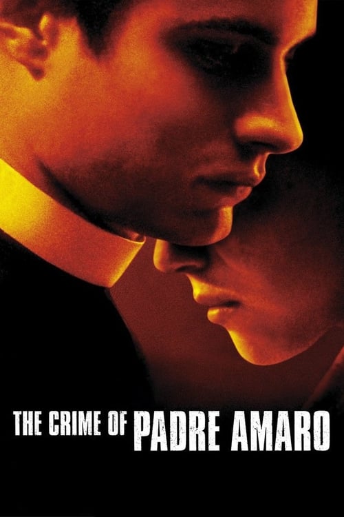The Crime of Father Amaro poster