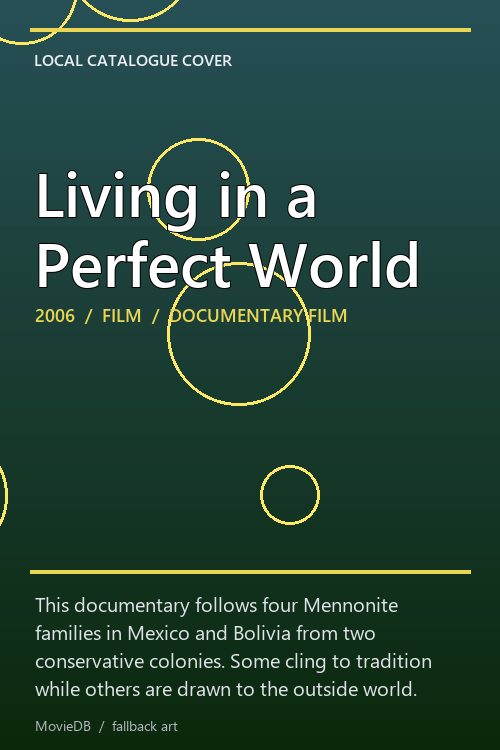 Living in a Perfect World poster