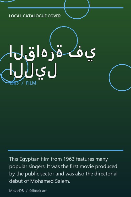 القاهرة في الليل poster