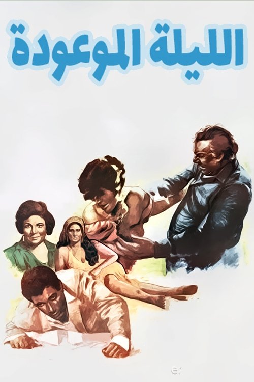 The promised night poster