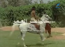 حتى آخر العمر poster