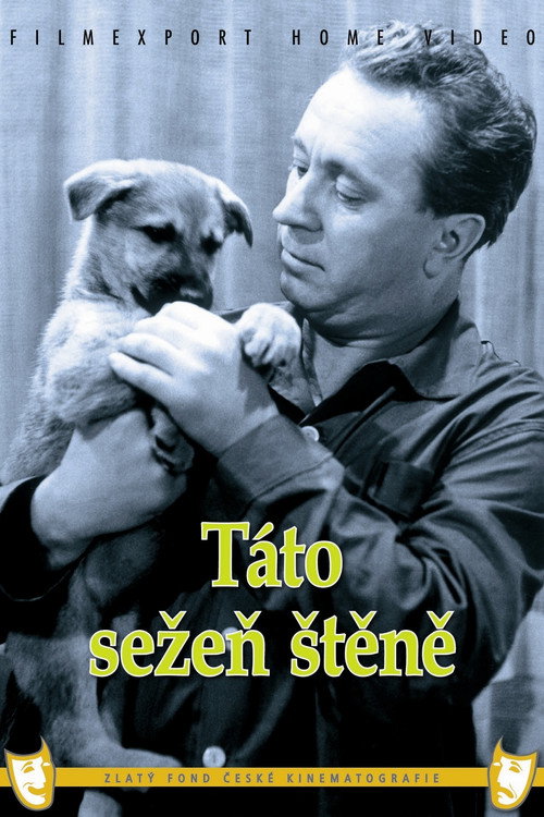 Táto, sezen stene poster
