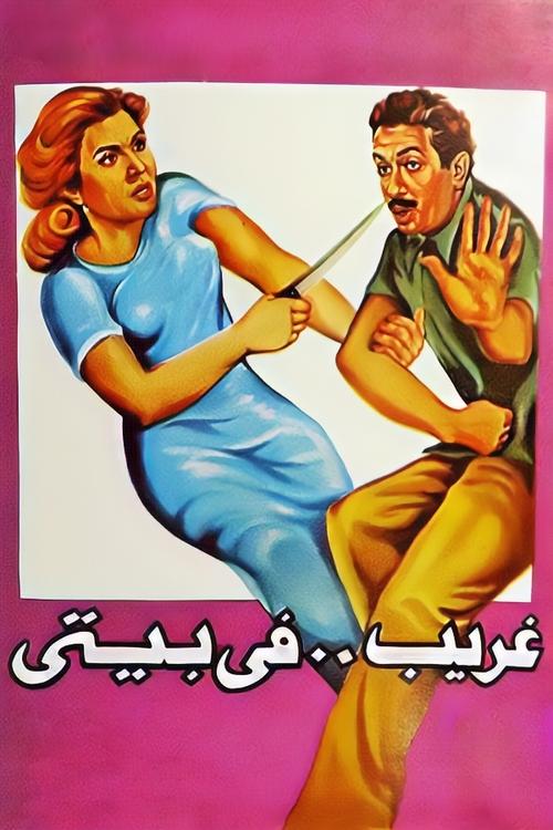 A Stranger at My Home poster